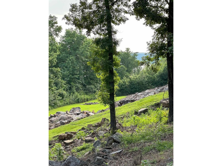 This 2 bdrm/2 bath cozy cottage on the shore of Greers Ferry - photo 33