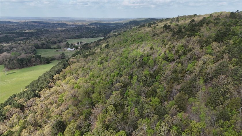 40+/- Hunting Property close to Blue Mountain Lake Situated one - photo 6