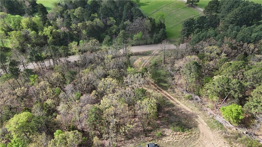 40+/- Hunting Property close to Blue Mountain Lake Situated one - photo 9