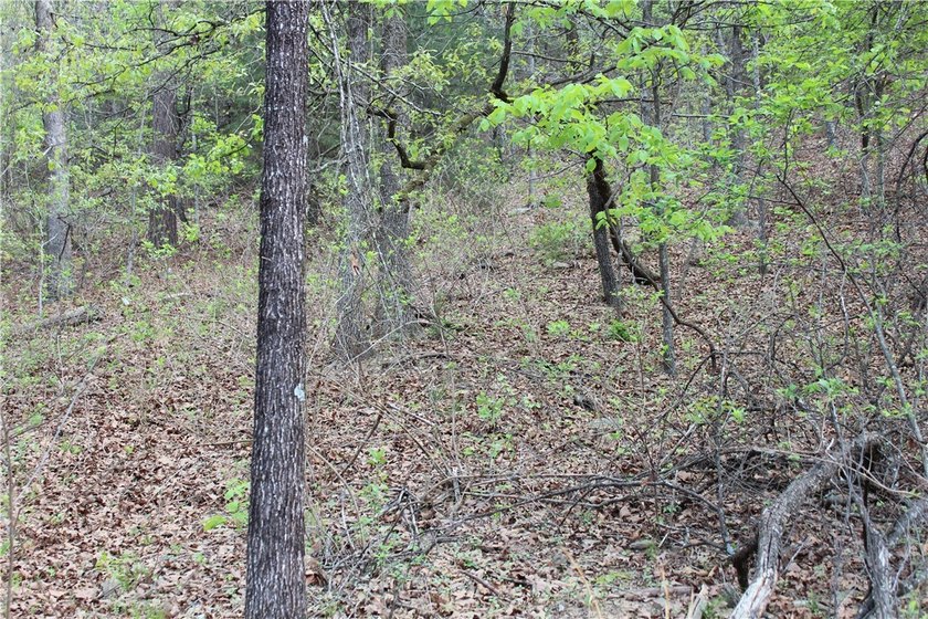 40+/- Hunting Property close to Blue Mountain Lake Situated one - photo 10