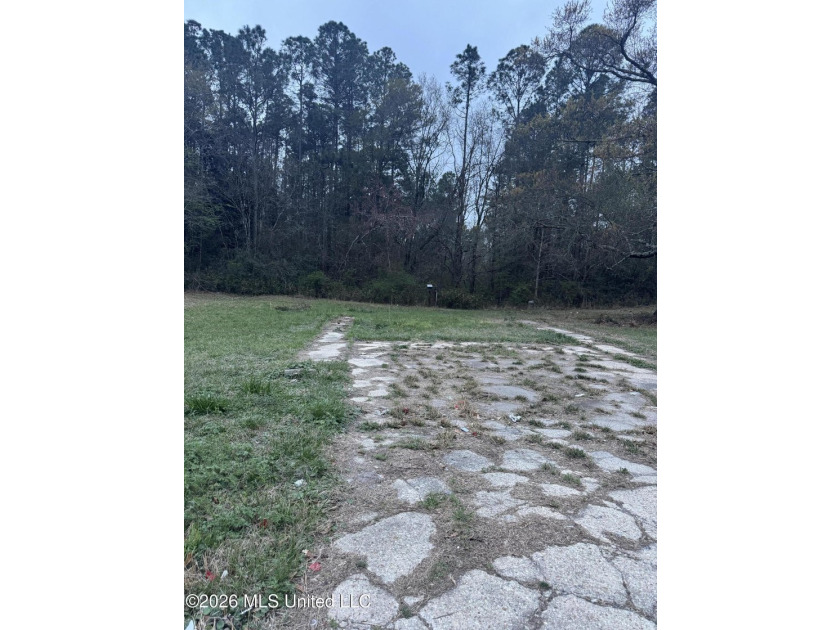 Lot 76 is a cleared lot ready for your future home. This - photo 2