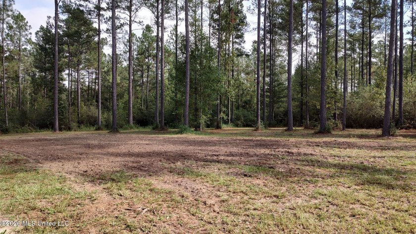 100 acres offering abundant wildlife including deer, turkey, fox - photo 2