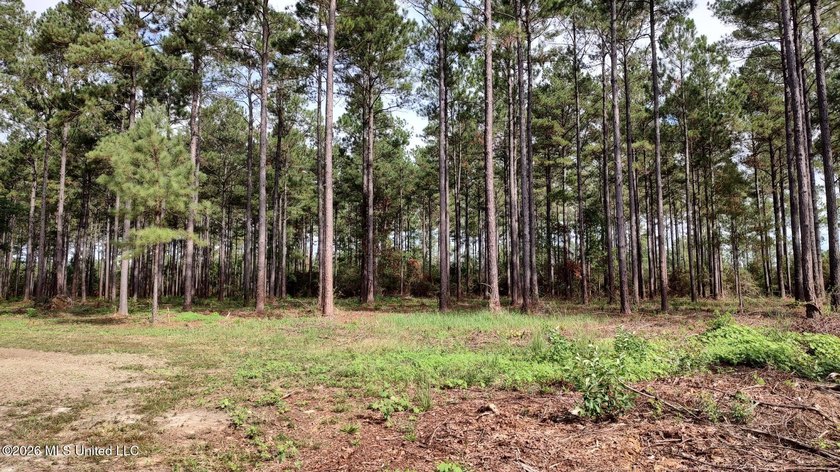100 acres offering abundant wildlife including deer, turkey, fox - photo 4