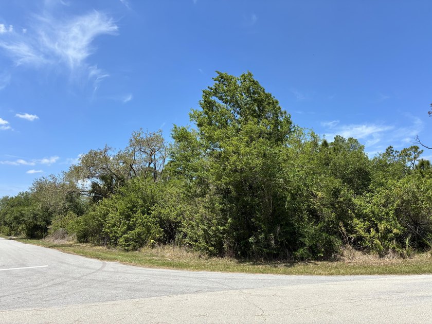 Beautiful residential and commercial corner land and the great - photo 2