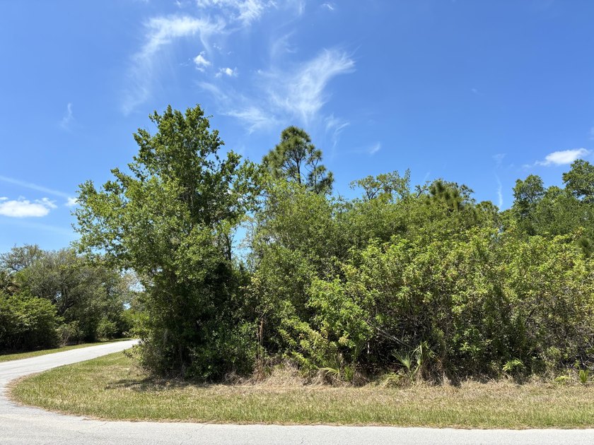 Beautiful residential and commercial corner land and the great - photo 3
