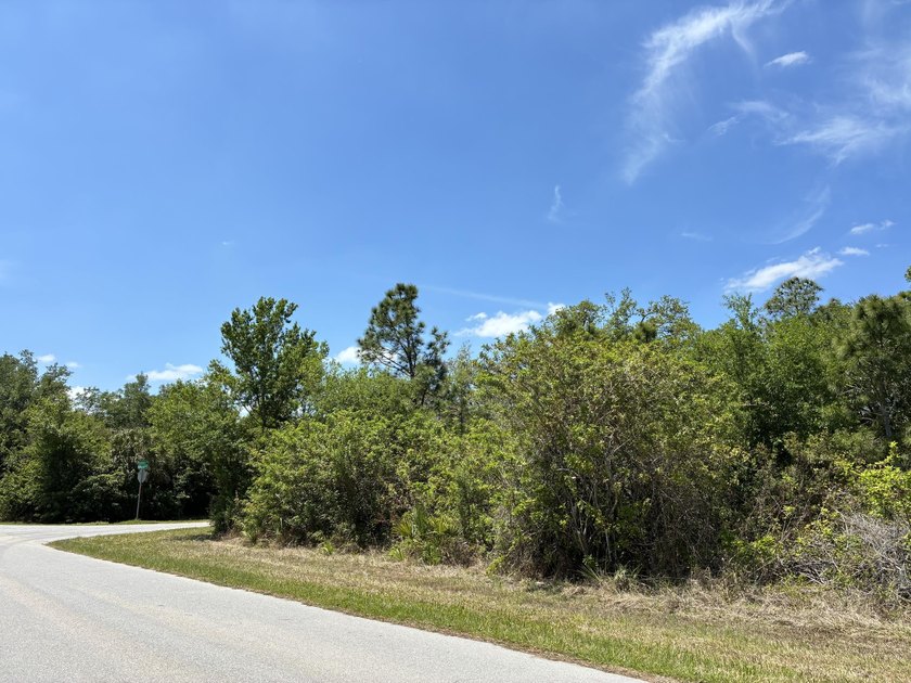 Beautiful residential and commercial corner land and the great - photo 4