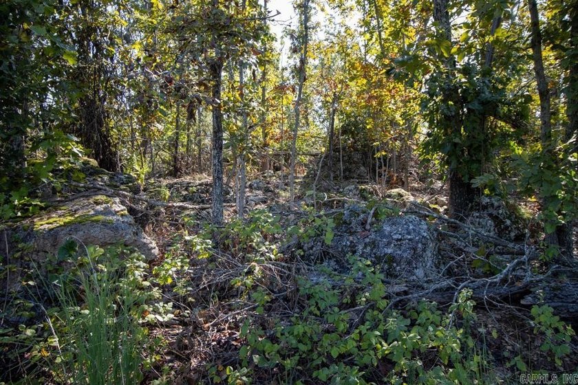 3.9 Acres Overlooking the White River - Mountain Home, AR This 3 - photo 19