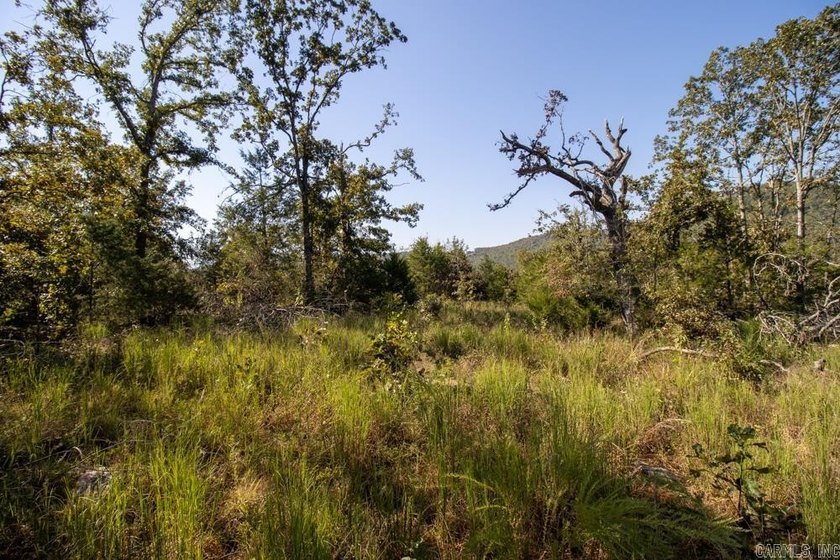3.9 Acres Overlooking the White River - Mountain Home, AR This 3 - photo 24
