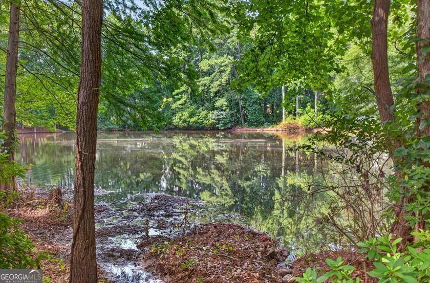 Welcome to Darien Park, one of Roswell's hidden gems! This - photo 34