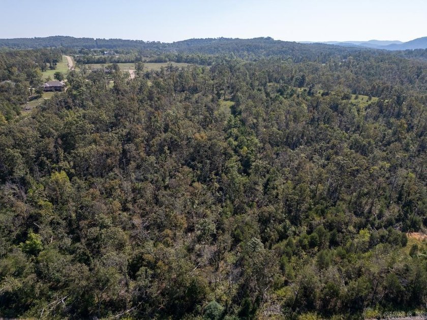 3.9 Acres Overlooking the White River - Mountain Home, AR This 3 - photo 44
