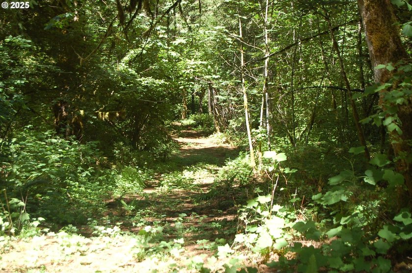 3.990 Gorgeous creek frontage with swimming hole and fishing - photo 11