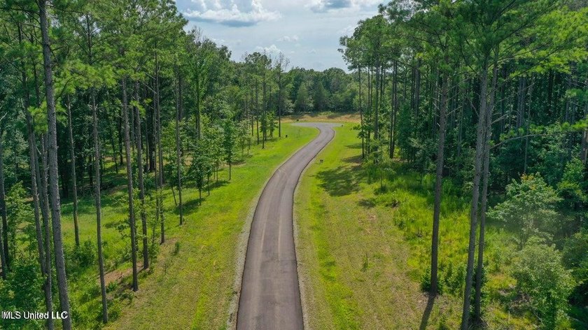 Welcome to Springwood, Flora's newest lakefront development - photo 2