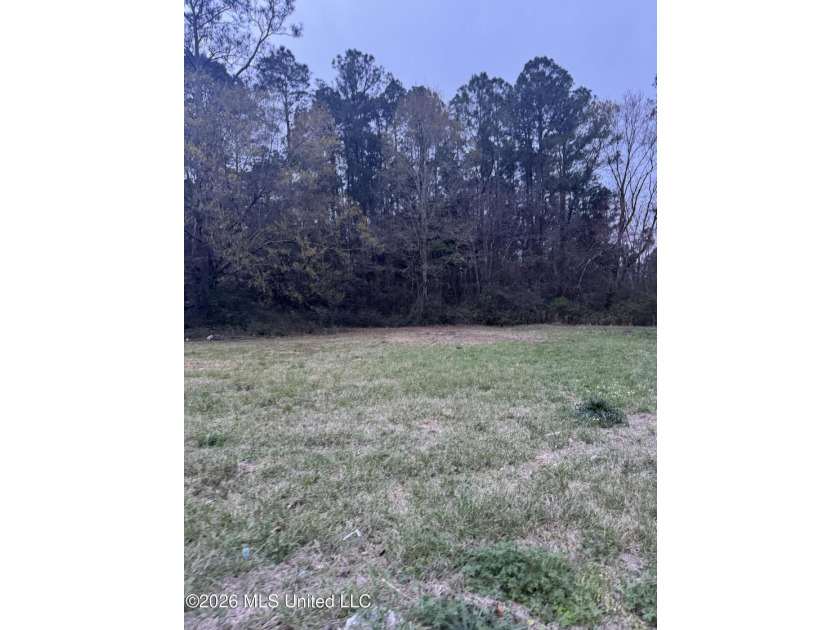 Lot 77 is a cleared lot ready for your future home. This - photo 2