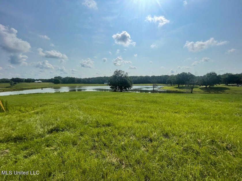 Lake front lots in a beautiful new Subdivision on Highway 63 - photo 23