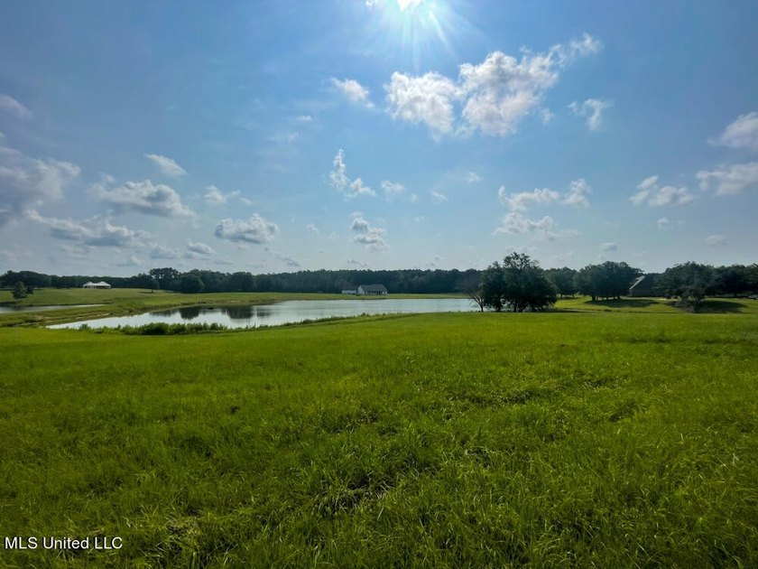 Lake front lots in a beautiful new Subdivision on Highway 63 - photo 27