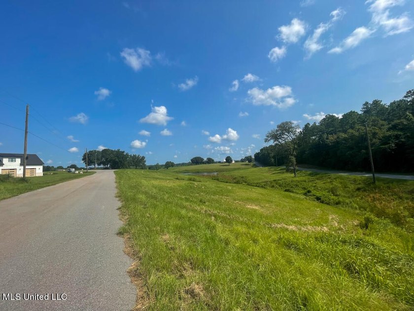 Lake front lots in a beautiful new Subdivision on Highway 63 - photo 38