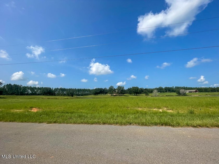 Lake front lots in a beautiful new Subdivision on Highway 63 - photo 39