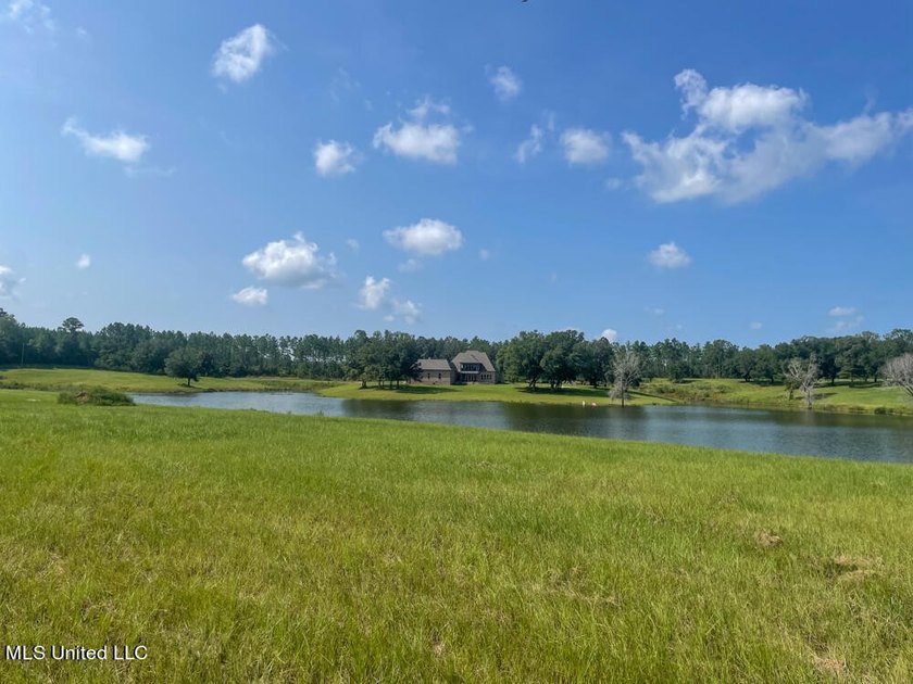 Lake front lots in a beautiful new Subdivision on Highway 63 - photo 50