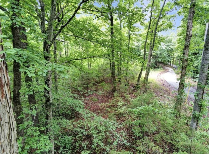 4.5 Acres Near Dale Hollow Lake - Ready for Your Dream Lake - photo 14