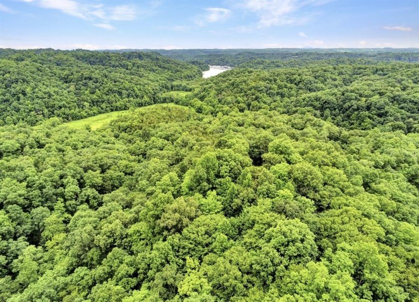 4.5 Acres Near Dale Hollow Lake - Ready for Your Dream Lake - photo 15