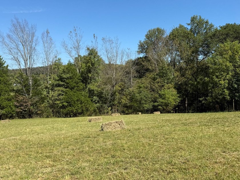 Discover your slice of Tennessee paradise with this beautiful 1 - photo 3