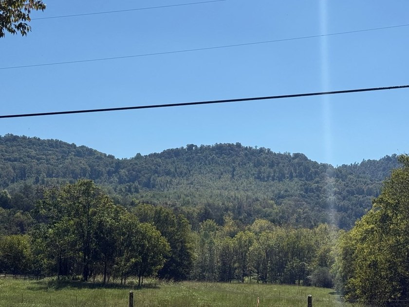 Discover your slice of Tennessee paradise with this beautiful 1 - photo 5