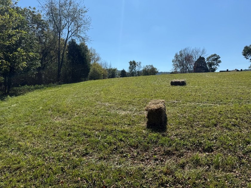 Discover your slice of Tennessee paradise with this beautiful 1 - photo 9