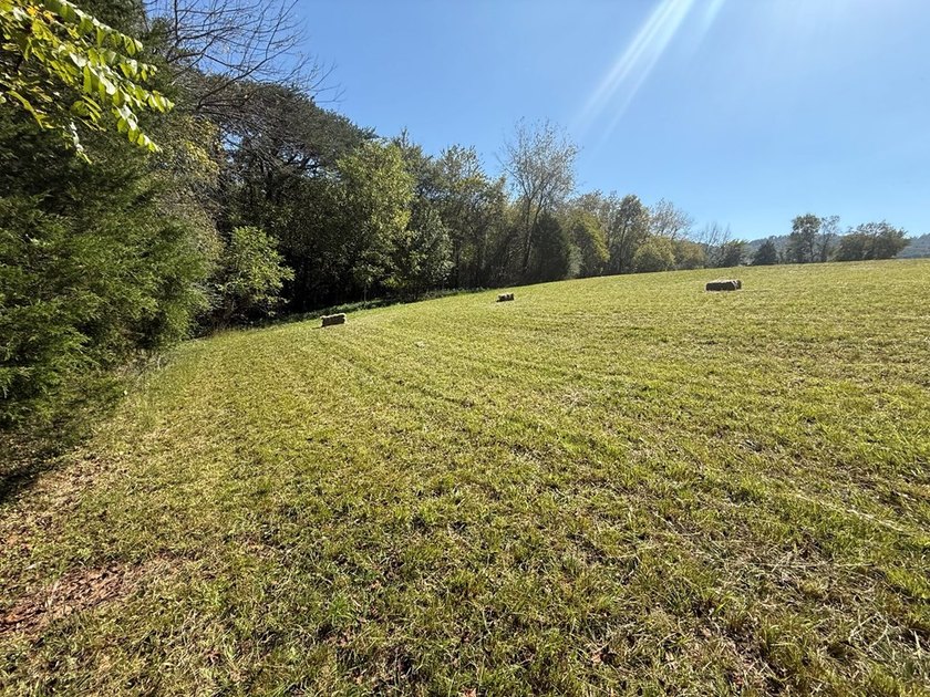 Discover your slice of Tennessee paradise with this beautiful 1 - photo 10