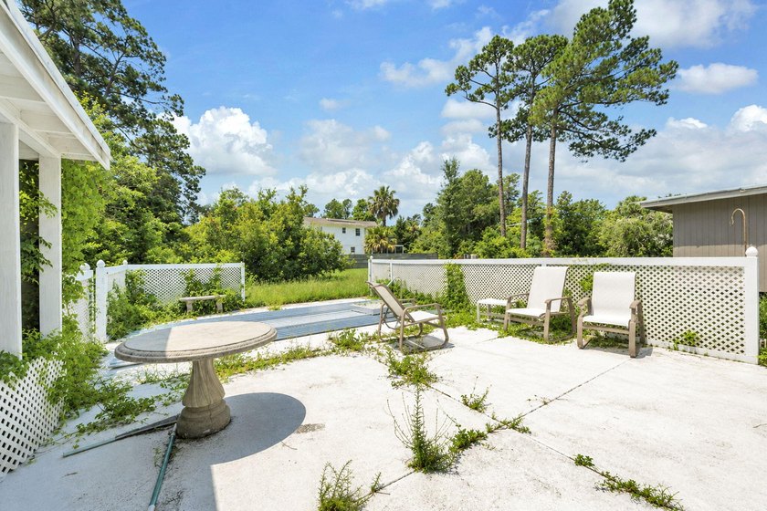 Ranch Style brick home, 3/2 with small pool on two private lots - photo 34