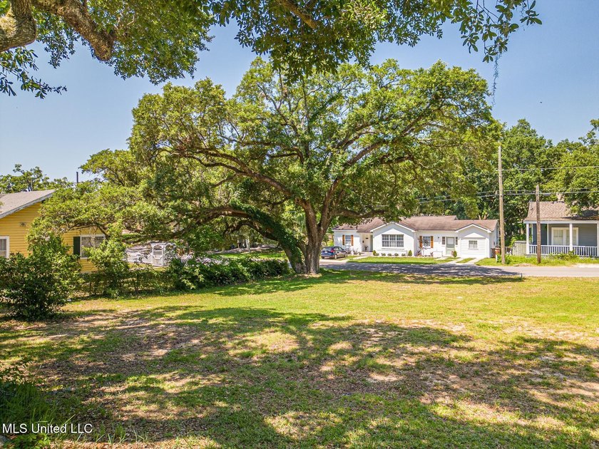 Discover the perfect setting for your dream home at 146 Gill Ave - photo 4