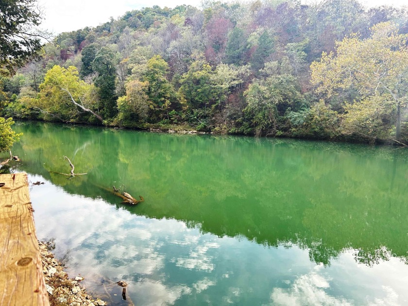 Waterfront Getaway on the Beautiful Spring River! This - photo 3