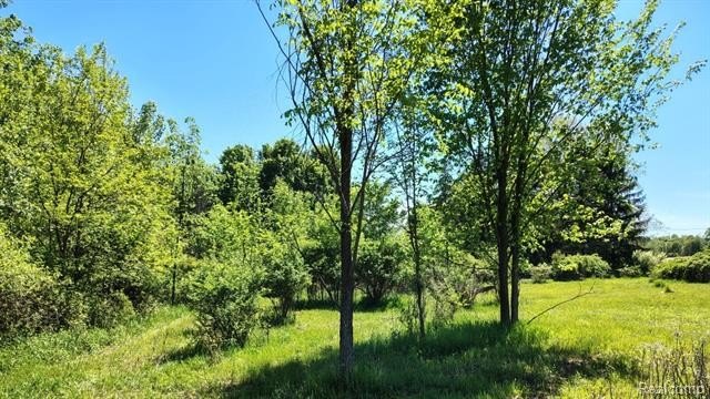 Attention builders. This two acres has been recently divided - photo 5