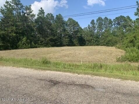 Looking for space to build? This approximately 3-acre corner - photo 5