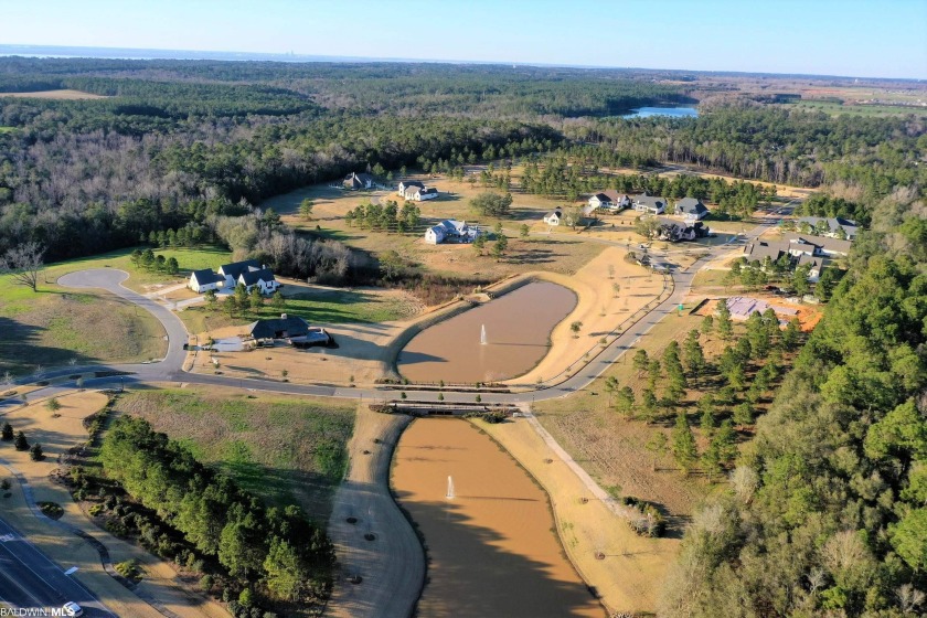 A premier upscale development in Fairhope highly insulated from - photo 3