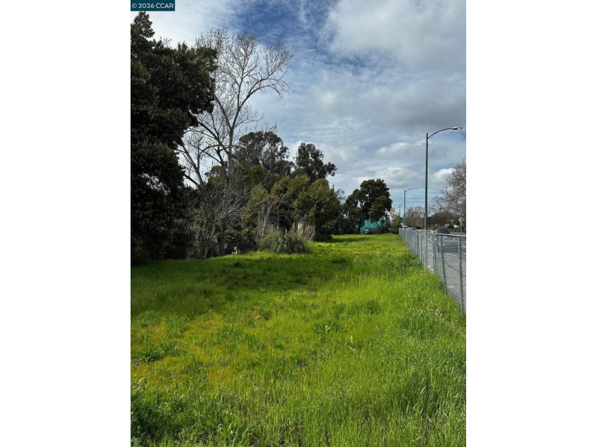 OPPORTUNITY!! Corner lot. 6 lots sitting in a well-established - photo 4