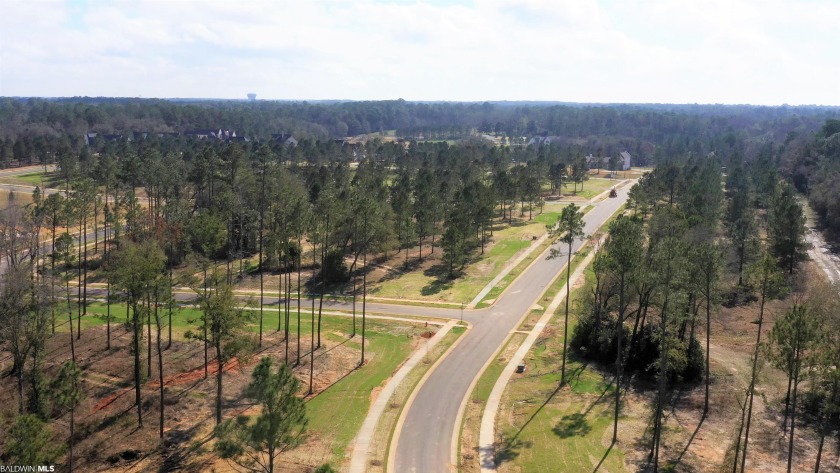 A premier upscale development in Fairhope highly insulated from - photo 7