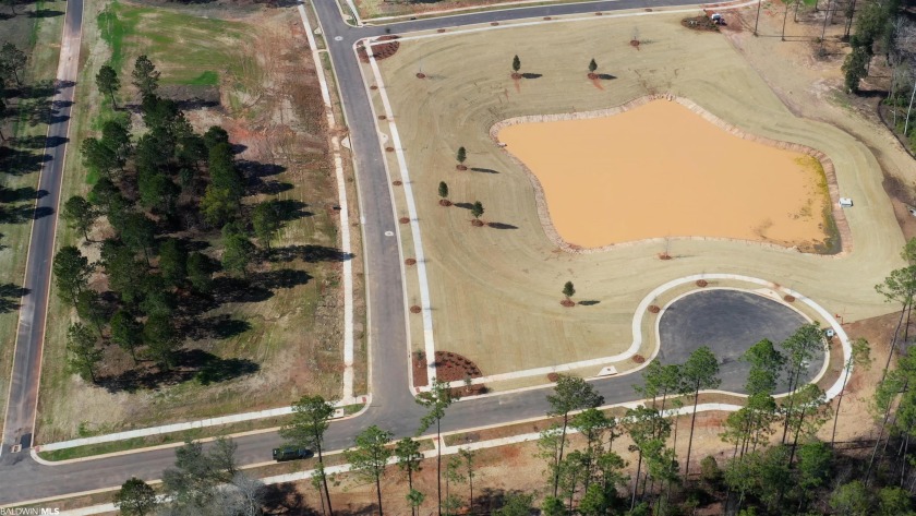 A premier upscale development in Fairhope highly insulated from - photo 9