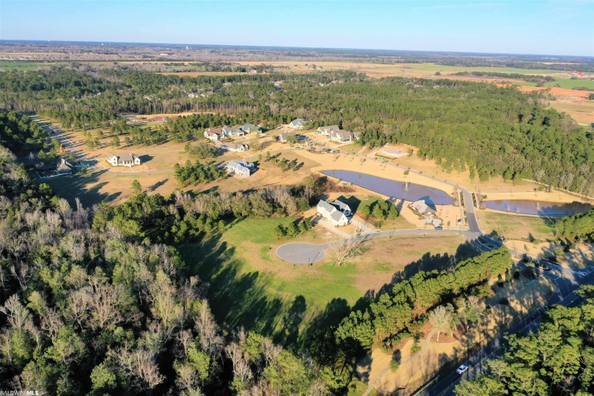 A premier upscale development in Fairhope highly insulated from - photo 5