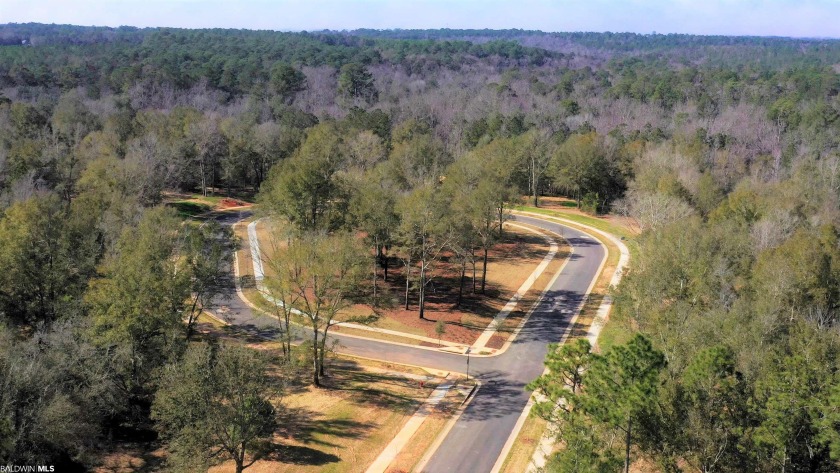 A premier upscale development in Fairhope highly insulated from - photo 6