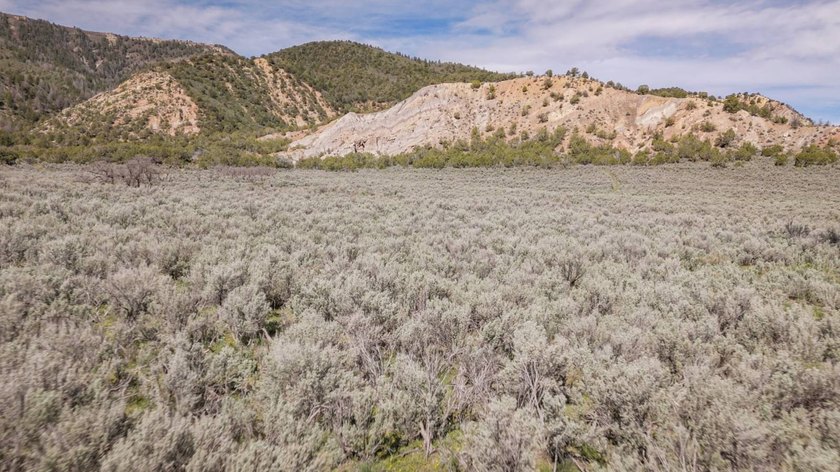 Located between Rifle and Meeker, this 1,273+/- deeded acre - photo 29