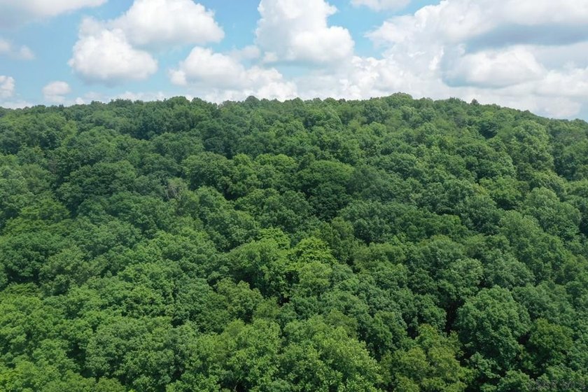 Nestled on 5.6 beautiful wooded acres in scenic Lower Turkeyfoot - photo 6