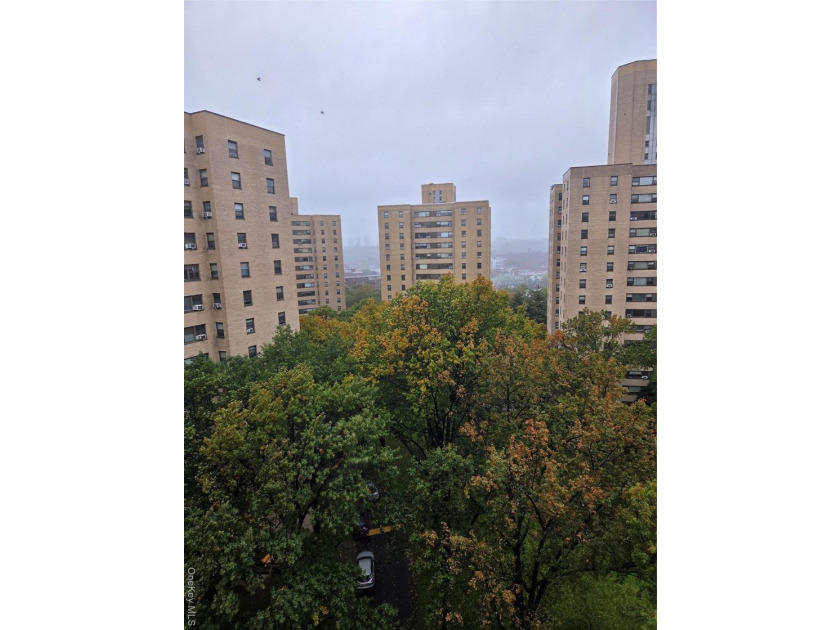 STOP BY TO VIEW THIS 2 BEDROOM APARTMENT OVERLOOKING THE - photo 5
