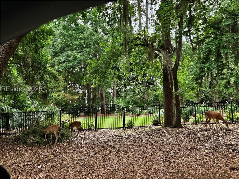 Security gate - photo 15