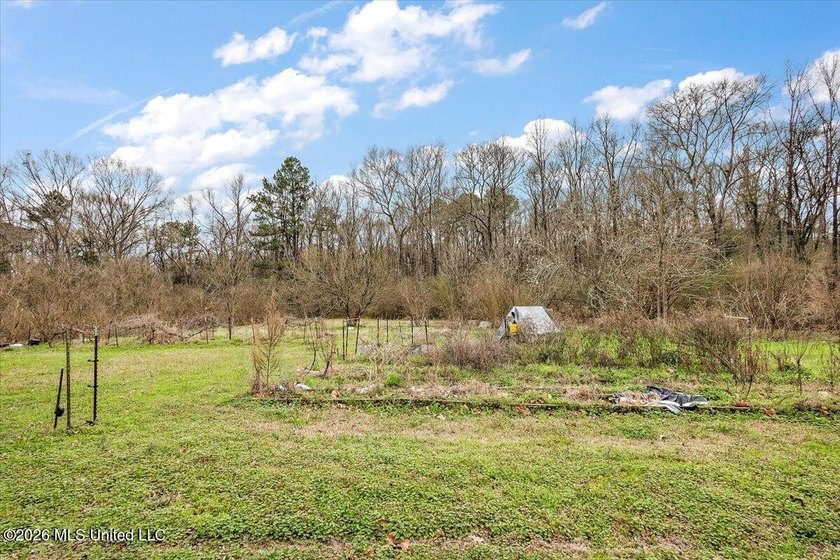 Nestled in the serene countryside of Terry, this 7.6-acre - photo 8