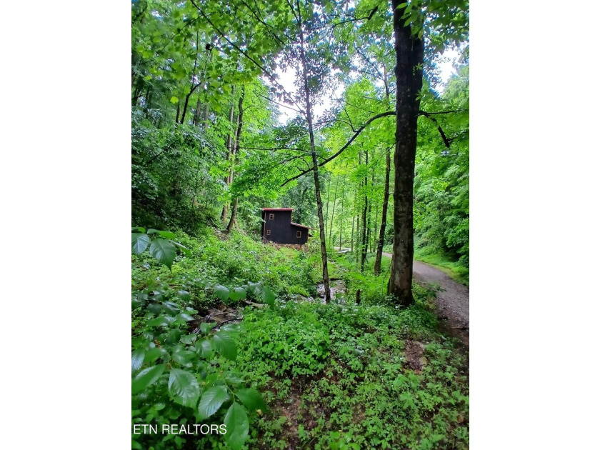 Escape to your own private mountain retreat with this - photo 4