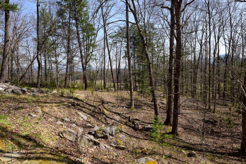 Nestled in Laurel Valley. This one-bedroom home offers a bonus - photo 3