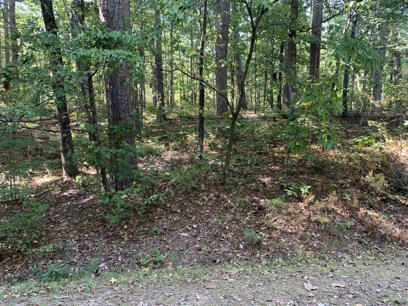 Beautiful East side building lot in Hot Springs Village common - photo 2