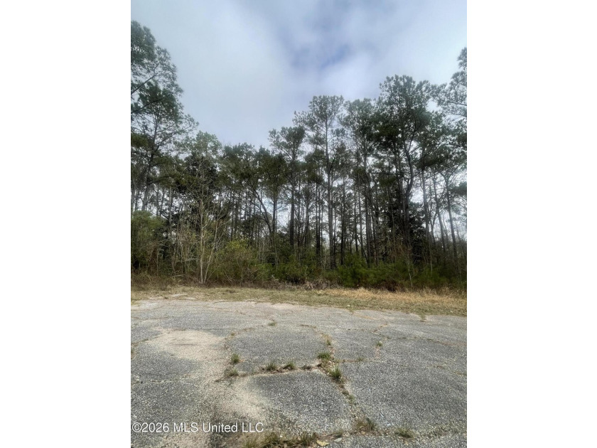 Great location. A short drive to Ingalls, Pascagoula, Ocean - photo 6