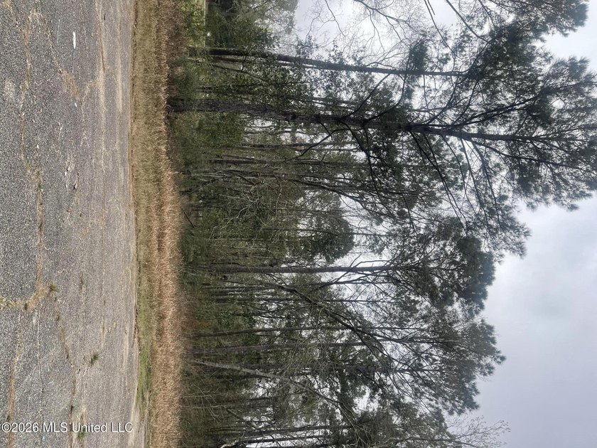 Great location. A short drive to Ingalls, Pascagoula, Ocean - photo 7