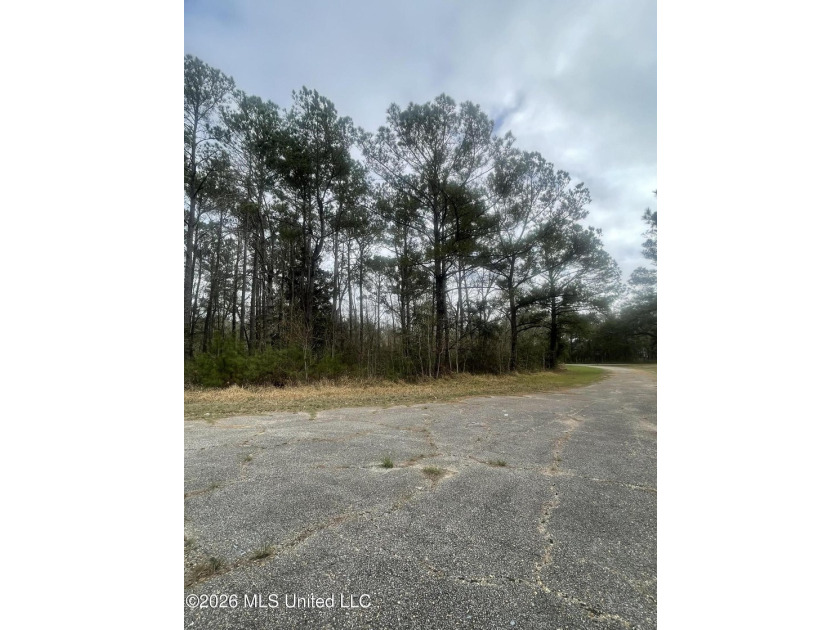 Great location. A short drive to Ingalls, Pascagoula, Ocean - photo 5